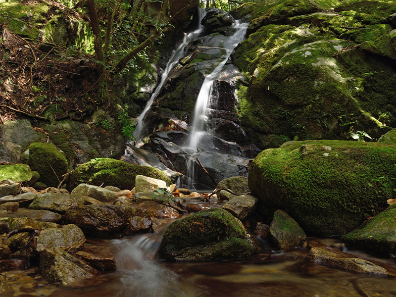 有限会社岩瀬氷店